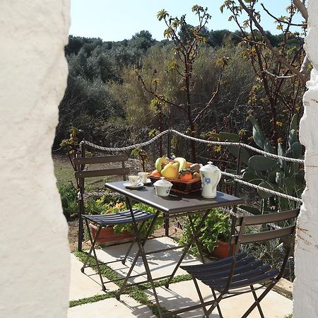 Masseria Pittore Savelletri Εξωτερικό φωτογραφία