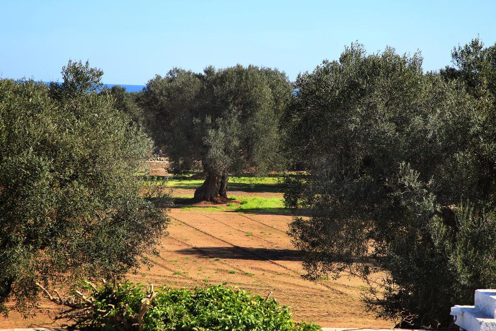 Masseria Pittore Savelletri Εξωτερικό φωτογραφία